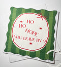 Hostess Gift Holiday Hostess Gift Ho Ho Hope You Leave Napkins Christmas Party Napkins Hostess Gift Funny Snarky Cocktail Napkins, Set of 25