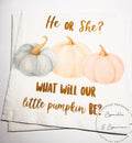 Fall Pumpkin Gender Reveal He or She What Will Little Pumpkin Blue Pink White Pumpkin Baby Shower Cocktail or Luncheon Napkins, Set of 25