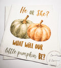 Fall Pumpkin Gender Reveal He or She What Will Little Pumpkin Green Orange Pumpkin Baby Shower Cocktail or Luncheon Napkins, Set of 25