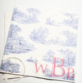 Custom Monogram Napkins Blue Toile Baby Shower Grandmillenial  Baby Shower Chinoiserie Party Decor Blue Pink Baby Shower Napkins, Set of 25